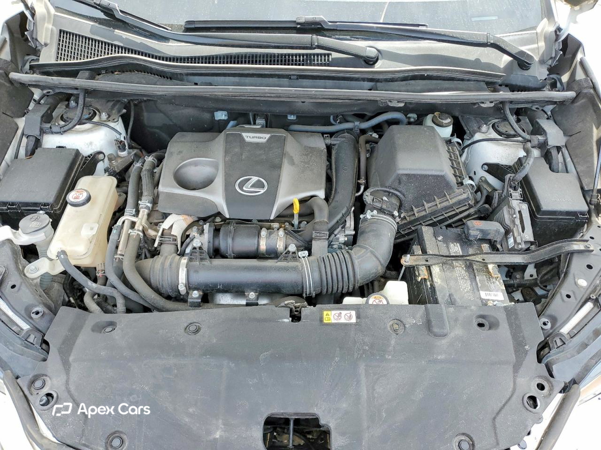 Lexus NX 2019