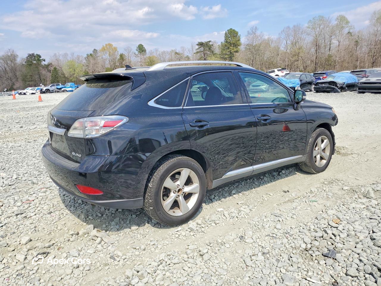 Lexus RX 2010