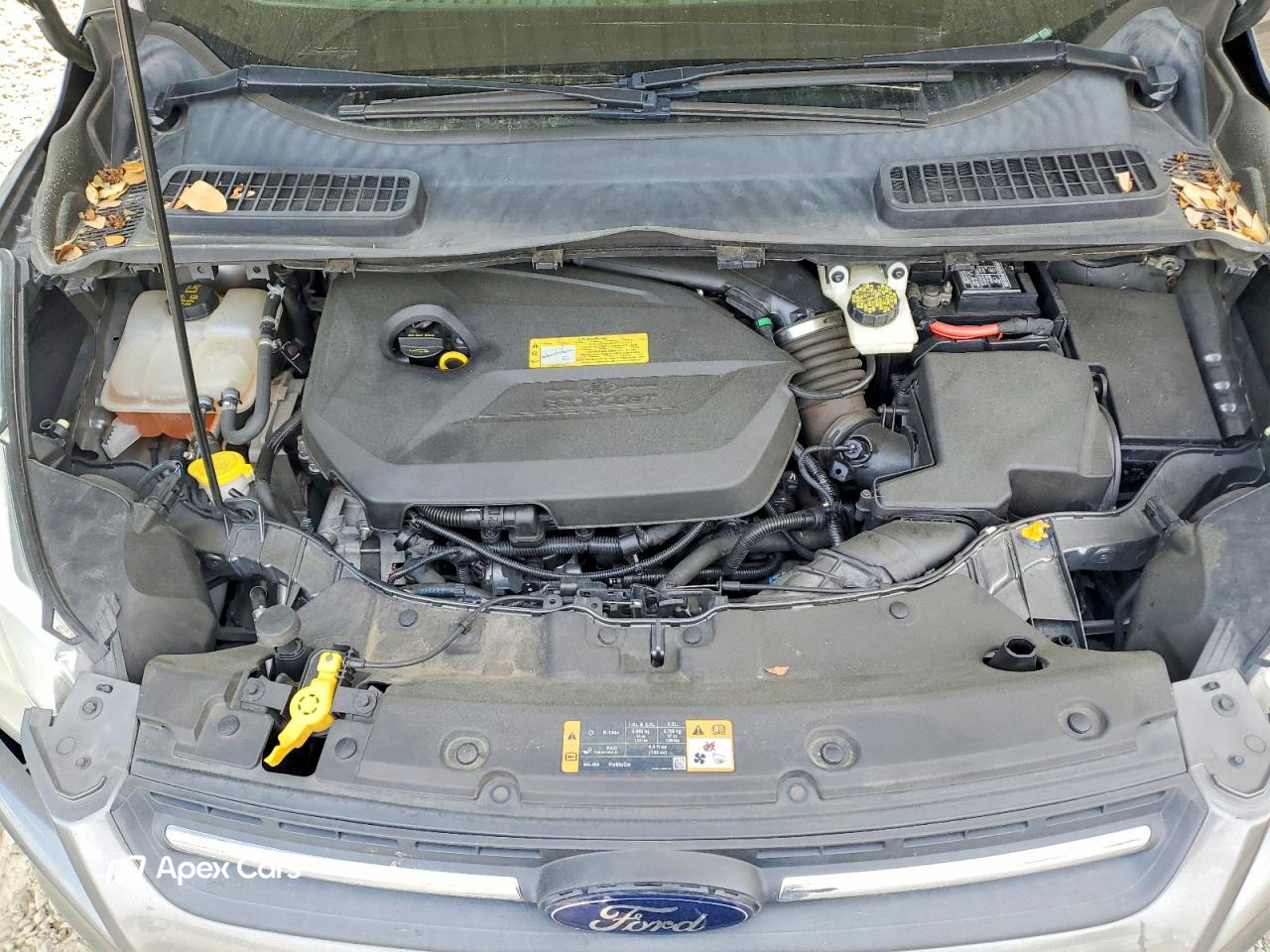Ford Escape 2014