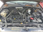 Ford Escape 2010