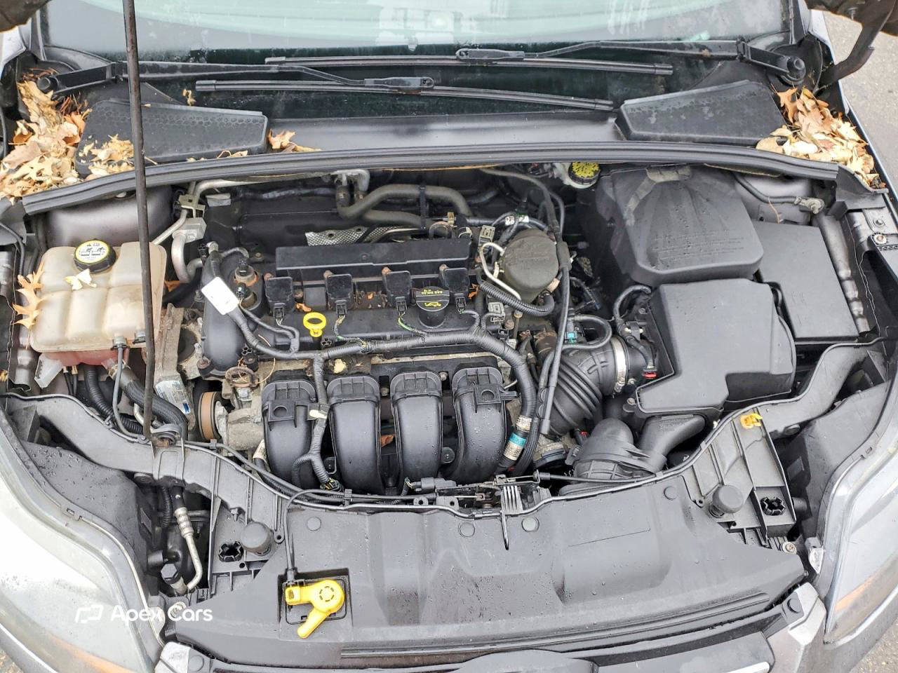 Ford Focus 2012