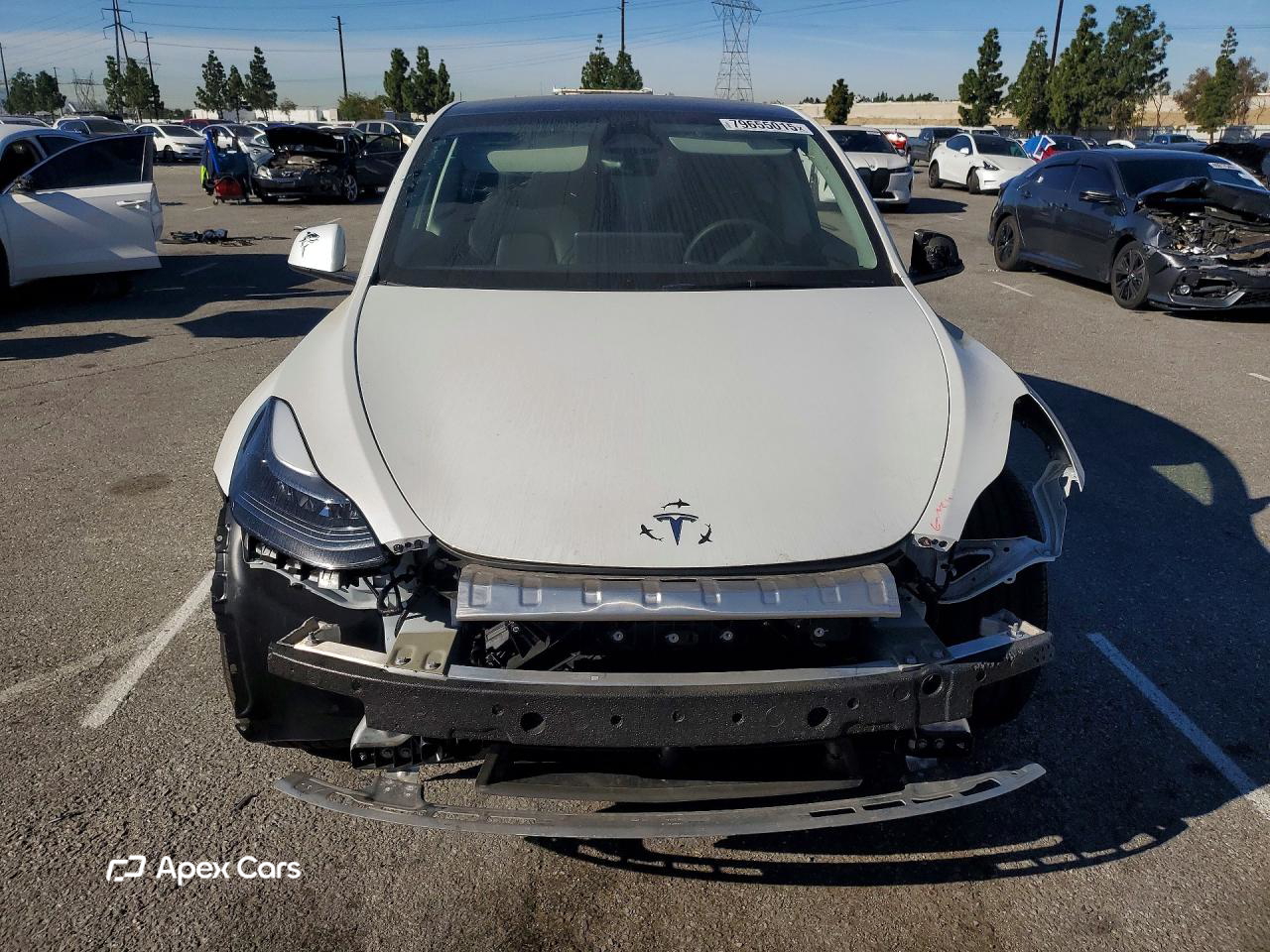Tesla Model Y 2024