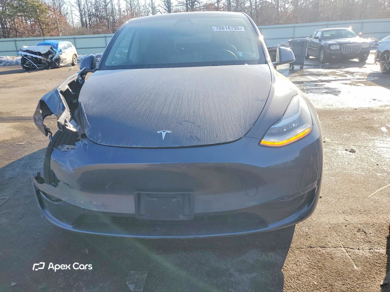 Tesla Model Y 2021