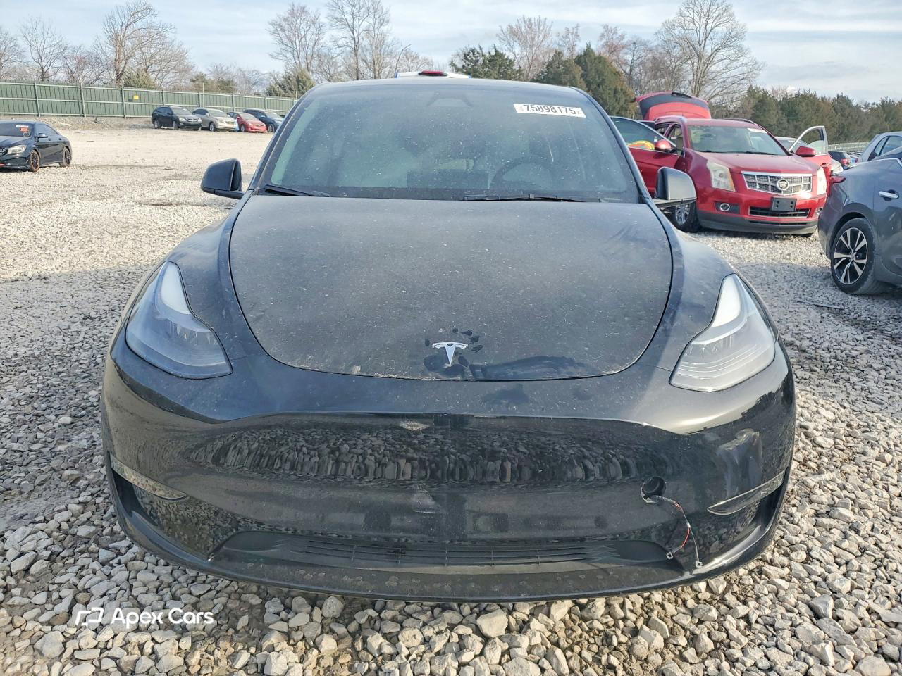 Tesla Model Y 2024