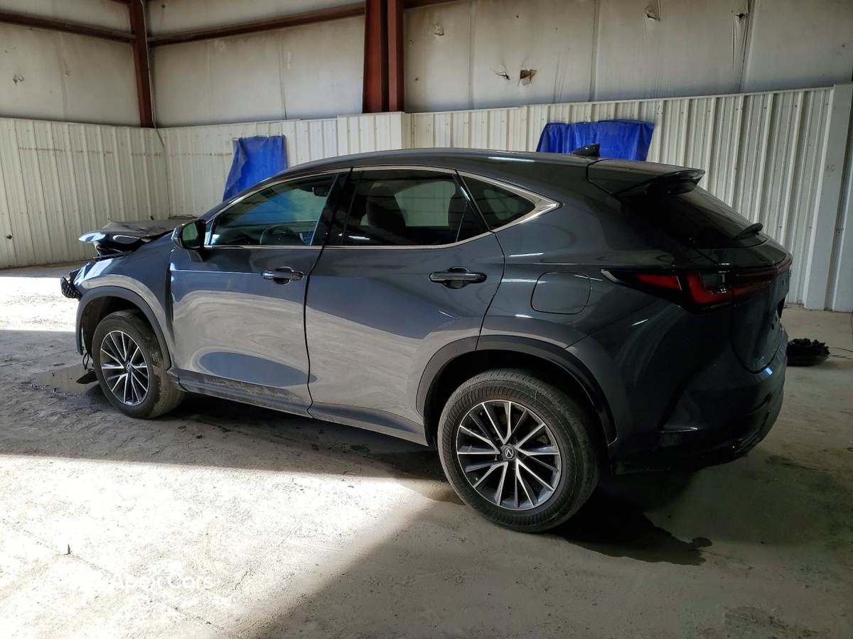 Lexus NX 2024
