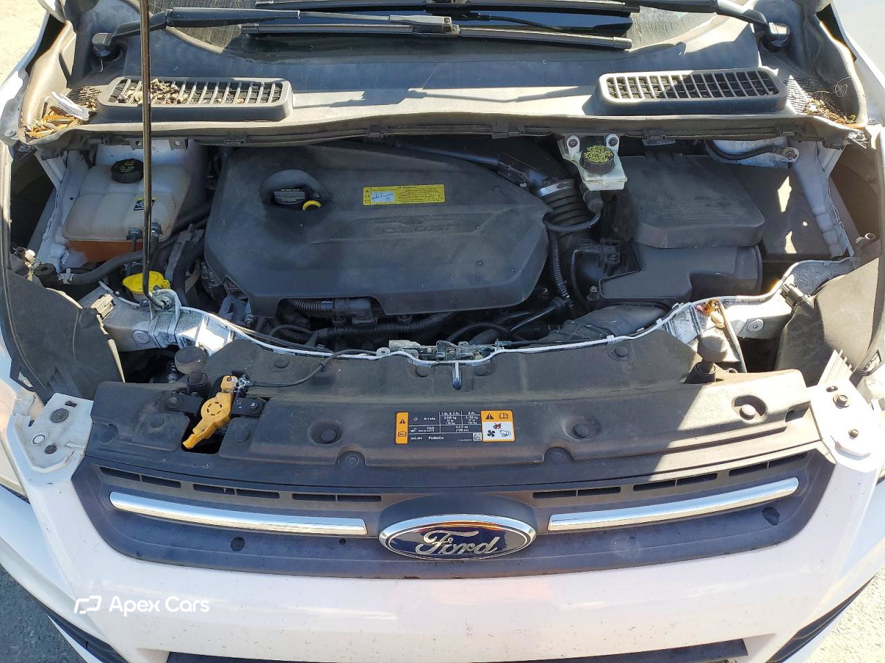 Ford Escape 2013