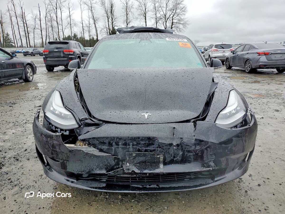 Tesla Model 3 2019