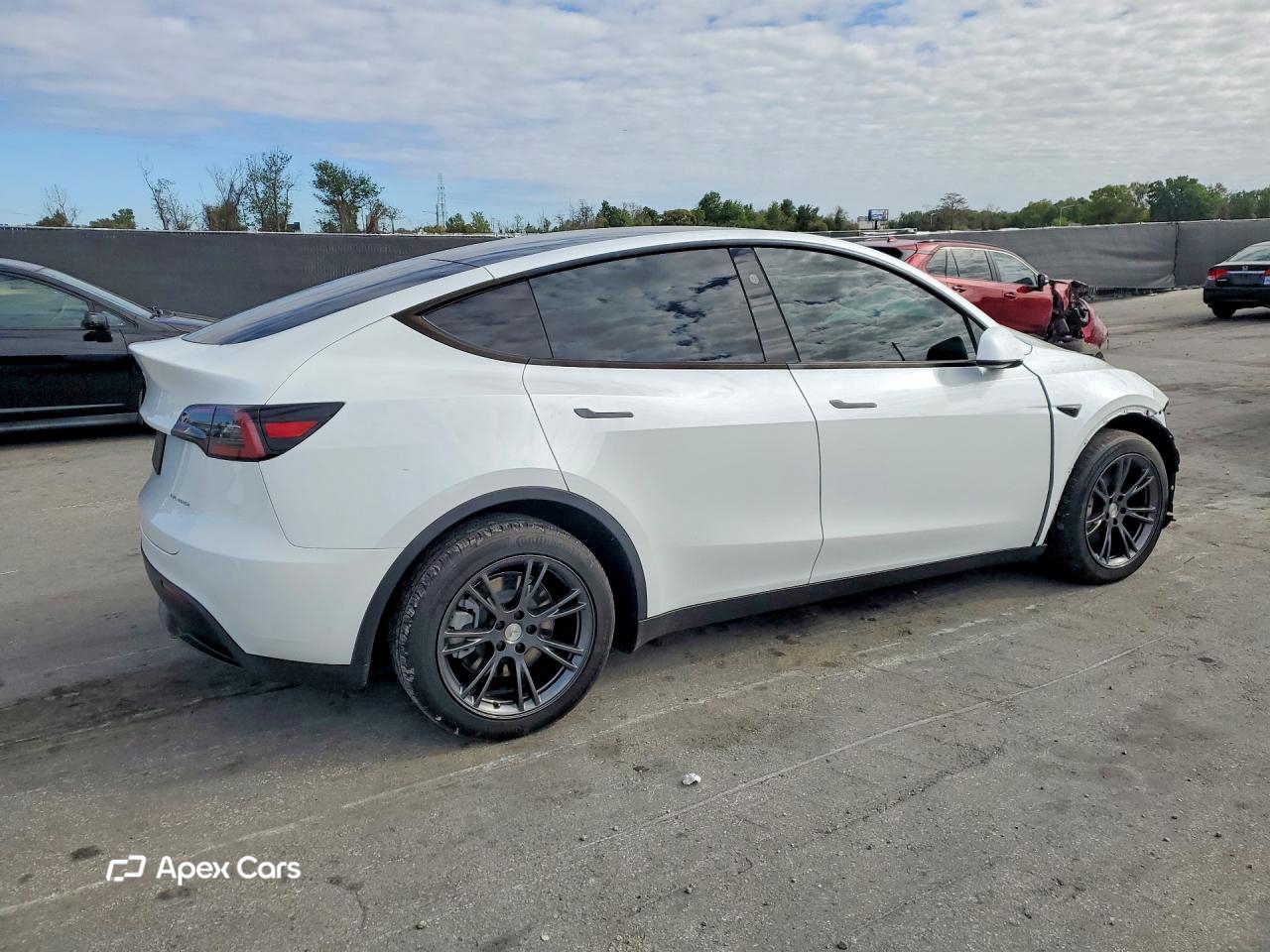 Tesla Model Y 2024