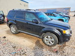 Ford Escape 2012