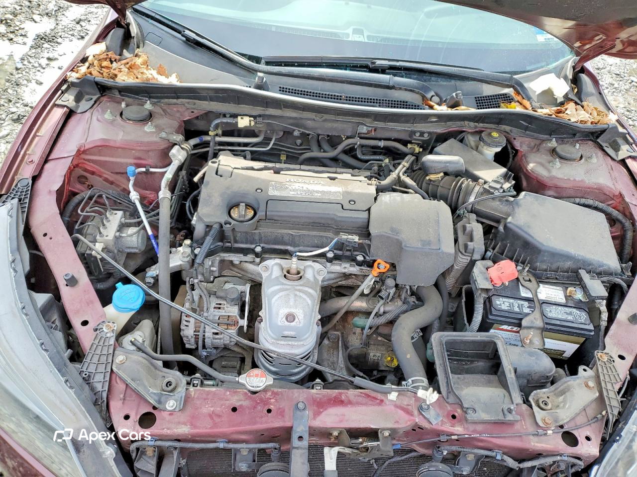 Honda Accord 2013
