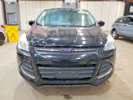 Ford Escape 2016