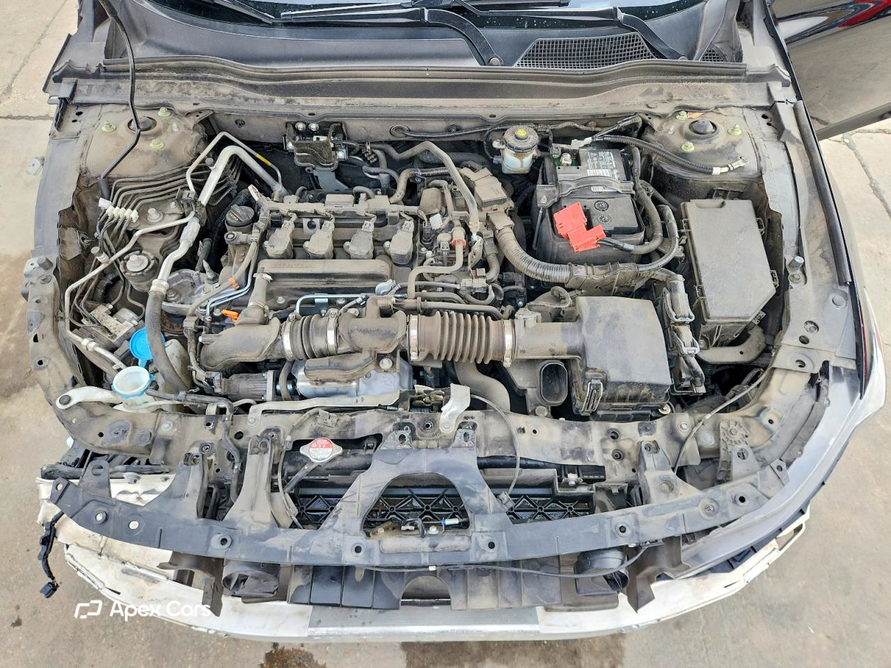 Honda Accord 2021