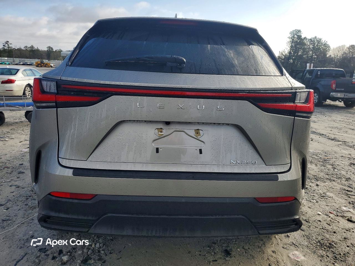 Lexus NX 2024