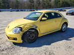 Volkswagen Beetle 2013
