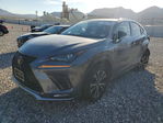 Lexus NX 2021