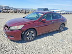 Honda Accord 2013