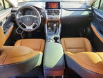 Lexus NX 2021