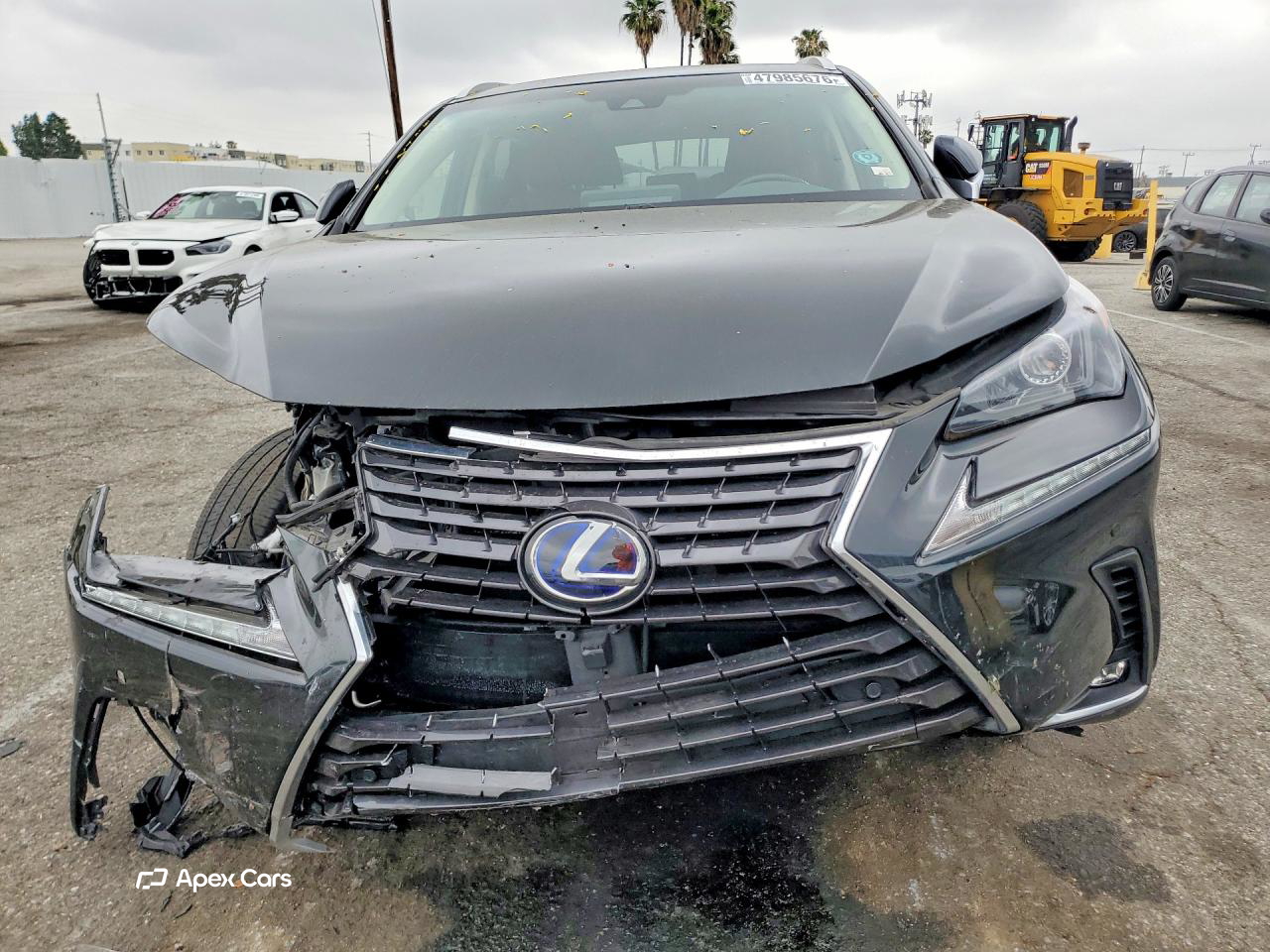 Lexus NX 2019