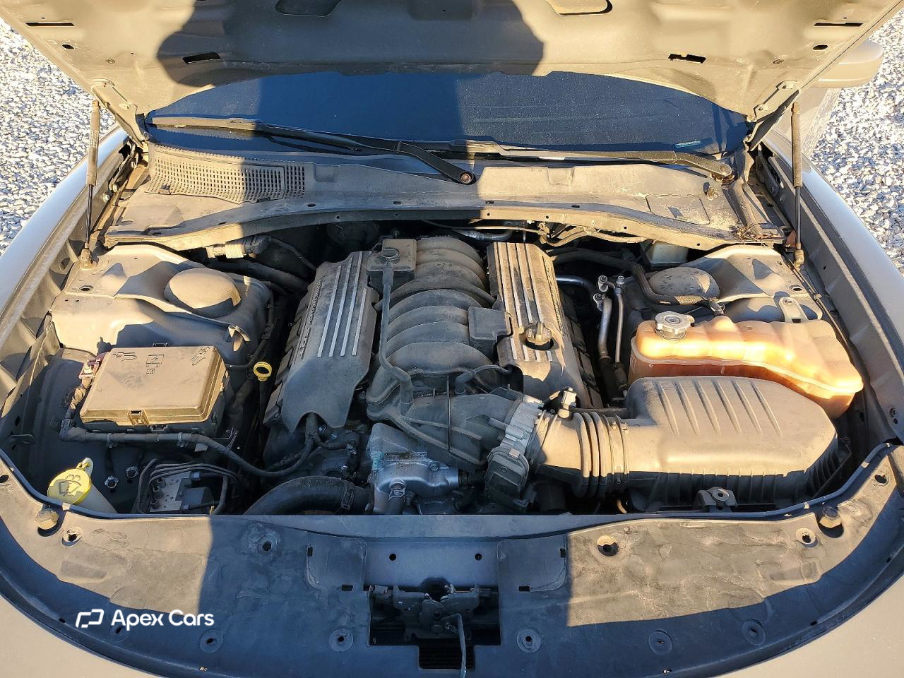 Dodge Charger 2019