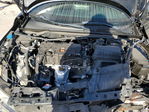 Honda Civic 2023