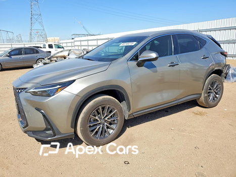Lexus NX 2024 - Image 1 of 12