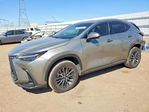 Lexus NX 2024