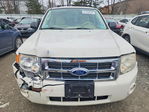 Ford Escape 2009