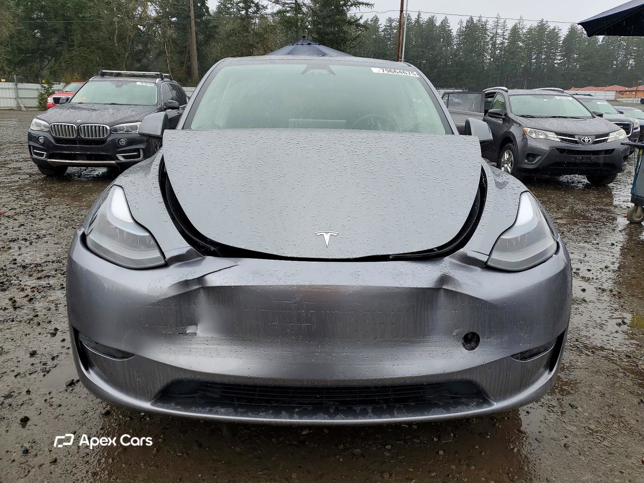 Tesla Model Y 2025