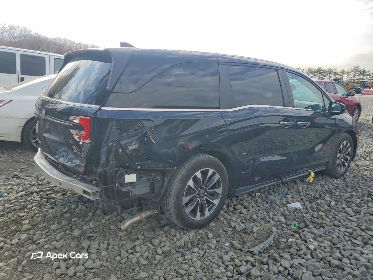 Honda Odyssey 2024