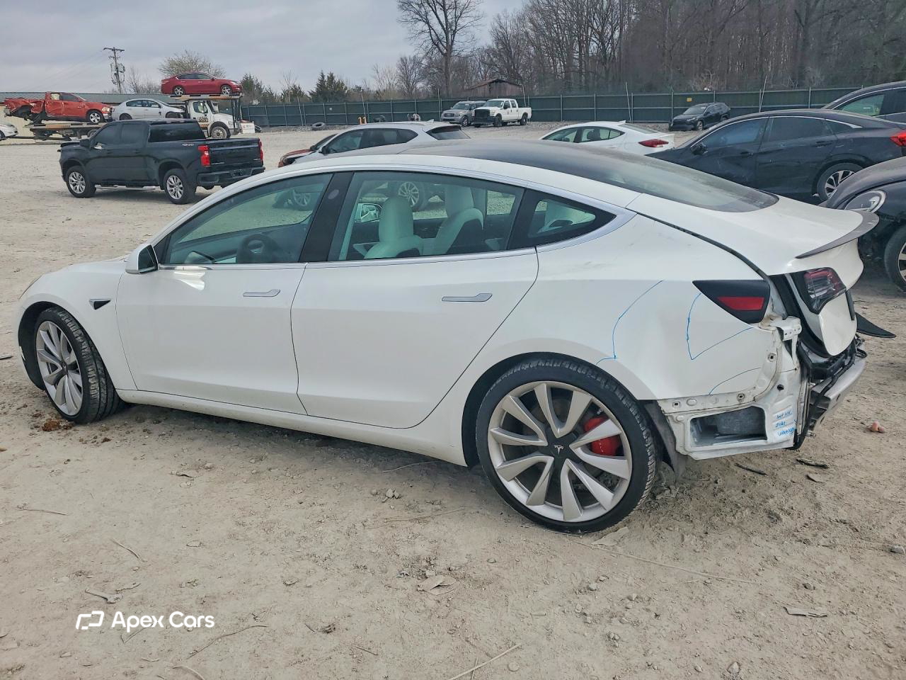 Tesla Model 3 2019