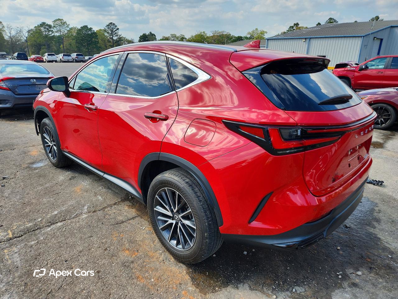 Lexus NX 2024