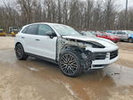 Porsche Cayenne 2024