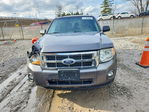 Ford Escape 2011