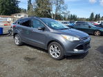 Ford Escape 2013
