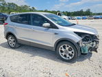 Ford Escape 2013
