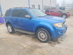 Ford Escape 2011