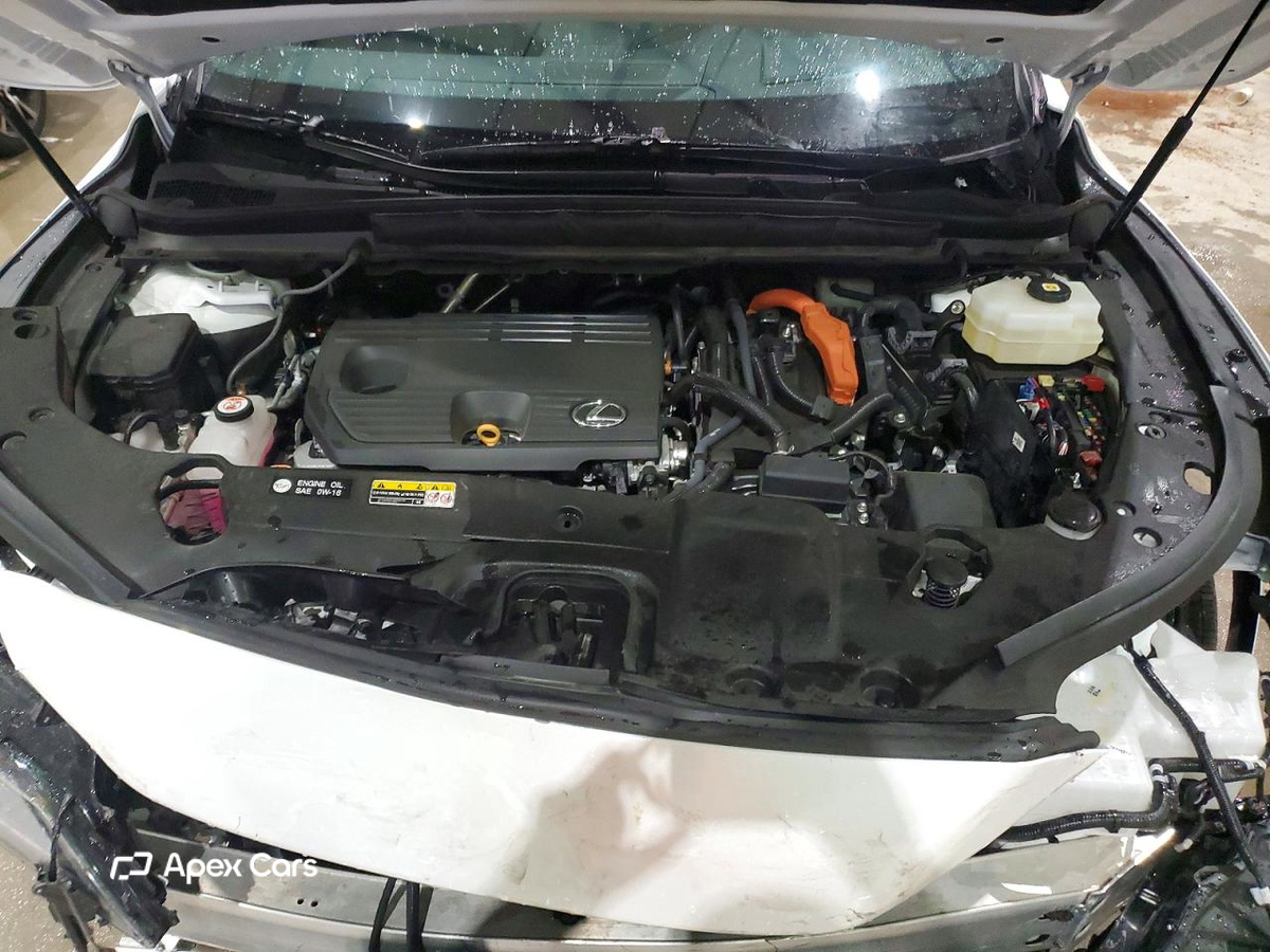 Lexus RX 2024