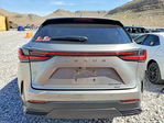 Lexus NX 2024