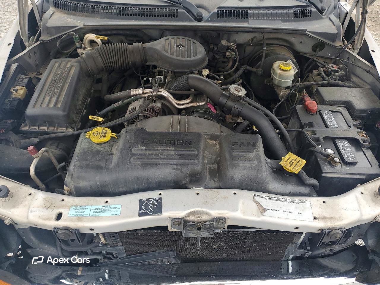 Dodge Dakota 2000
