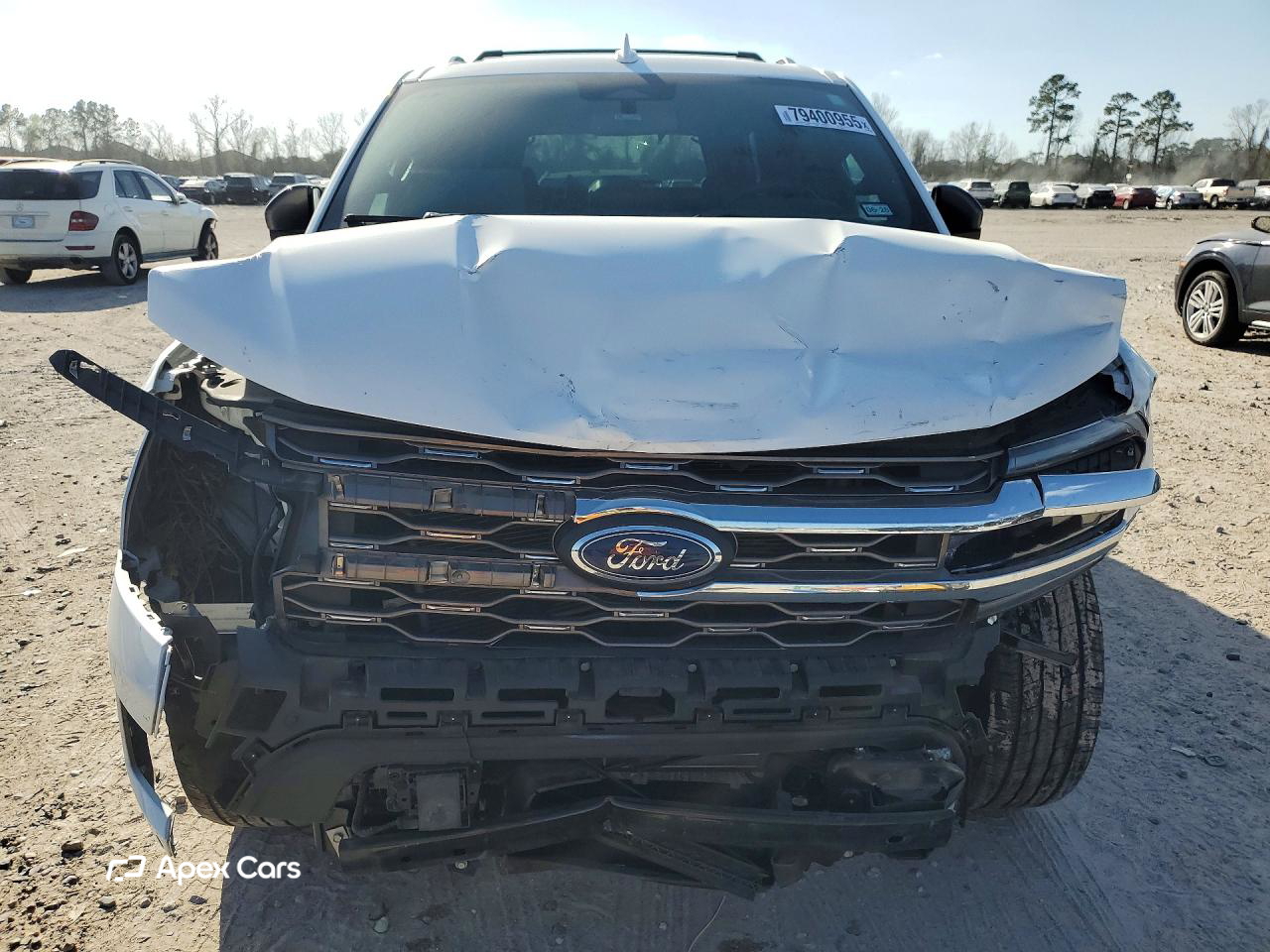 Ford Expedition 2024