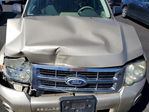 Ford Escape 2011