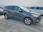 Ford Escape 2016