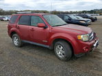 Ford Escape 2008