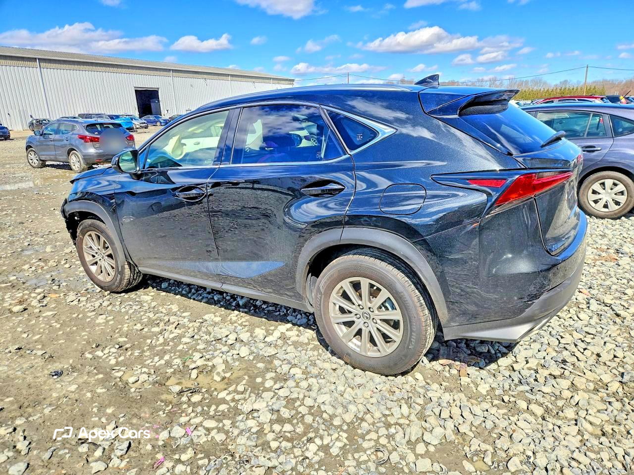 Lexus NX 2021