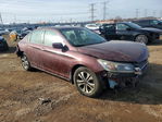 Honda Accord 2013