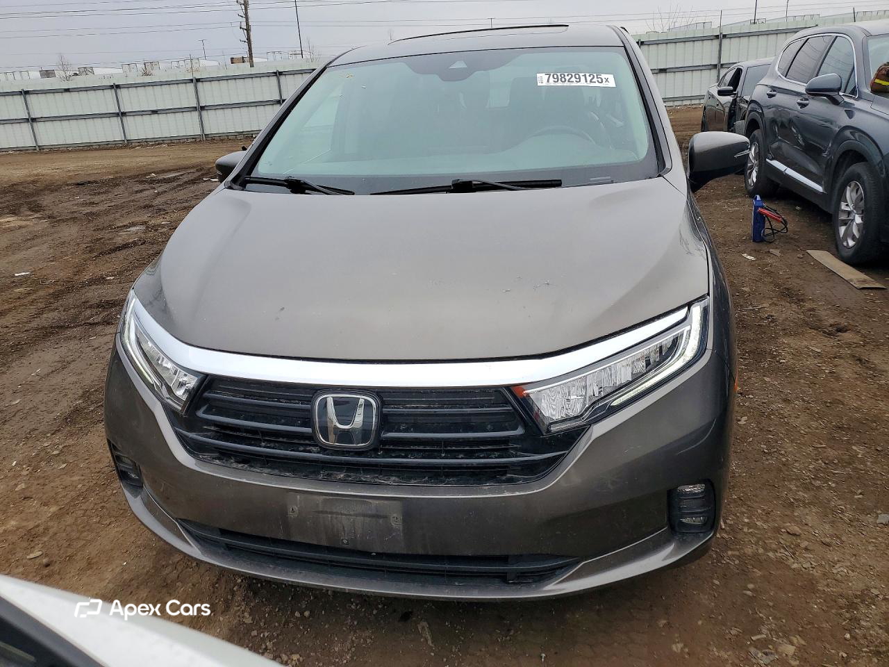 Honda Odyssey 2021