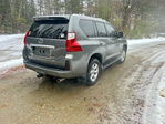 Lexus GX 2011