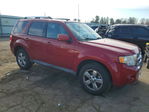 Ford Escape 2010