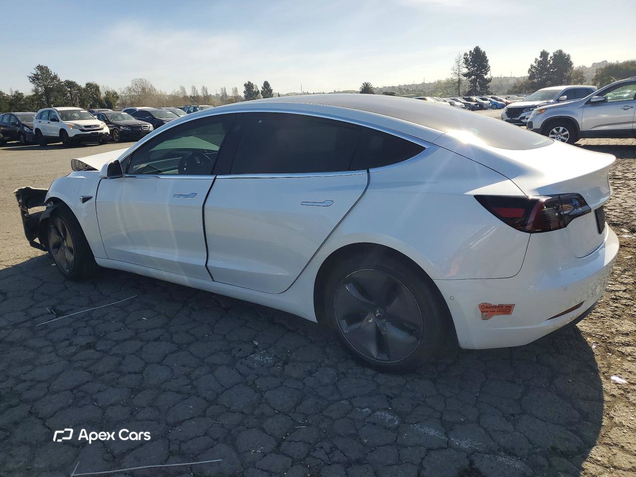 Tesla Model 3 2019