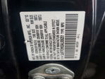 Honda Accord 2010